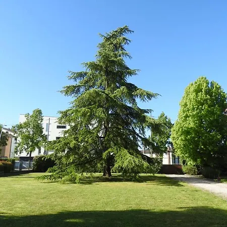 Venezia Bed & Breakfast